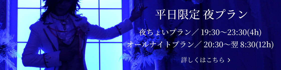 平日限定夜プラン